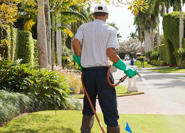 About Ferndale NY Pest Control